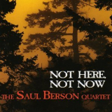 Saul Berson - Not Here, Not Now '2002