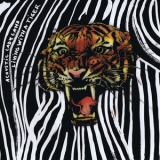 Acoustic Ladyland - Living With A Tiger '2009