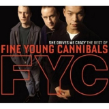 Fine Young Cannibals - She Drives Me Crazy - The Best Of... '2008