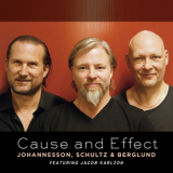 Johannesson, Schultz & Berglund - Cause And Effect '2012