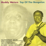 Muddy Waters - Top Of The Boogaloo '1988