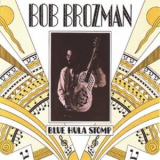 Bob Brozman - Blue Hula Stomp '1996