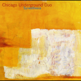 Chicago Underground Duo - Synesthesia '2000