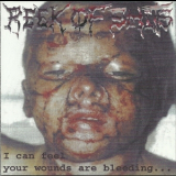 Reek Of Shits - I Can Feel Your Wounds Are Bleeding... '2001