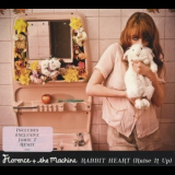 Florence & The Machine - Dog Days Are Over '2008