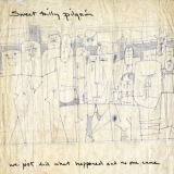 Sweet Billy Pilgrim - We Just Did What Happened And No One Came '2005
