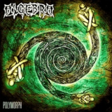 Algebra - Polymorph / Procreation '2013