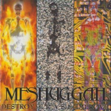 Meshuggah - Destroy Erase Improve '1995