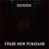 These New Puritans - Hidden '2010