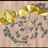 Tunng - Comments Of The Inner Chorus '2006
