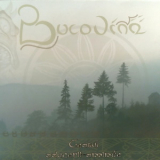 Bucovina - Ceasul Aducerii-aminte '2006