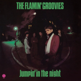 Flamin' Groovies - Jumpin' In The Night '1979