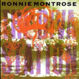 Ronnie Montrose - The Diva Station '1990