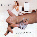 Sonic Youth - A Thousand Leaves '1998