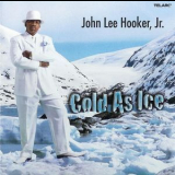 John Lee Hooker Jr. - Cold As Ice '2006