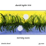 David Taylor Trio - Morning Moon '2004