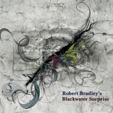 Robert Bradley's Blackwater Surprise - Out Of The Wilderness '2009