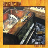 Papa Grows Funk - Needle In The Groove '2012