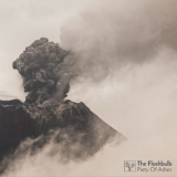 The Flashbulb - Piety Of Ashes '2017