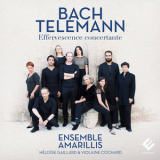 Ensemble Amarillis - Bach & Telemann: Effervescence Concertante (Hi-Res) '2017