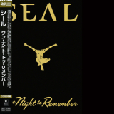 Seal - One Night To Remember '2006