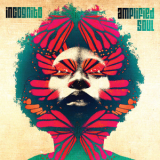 Incognito - Amplified Soul '2014