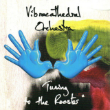 Vibracathedral Orchestra - Tuning To The Rooster '2004