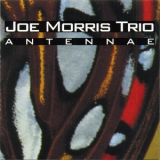 Joe Morris Trio - Antennae '1997