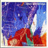Dave Bainbridge - Veil Of Gossamer '2004