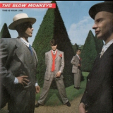 The Blow Monkeys - This Is Your Life '1988