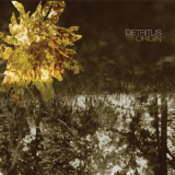 Detritus - Origin '2005