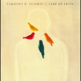 Timothy B. Schmit - Leap Of Faith '2016