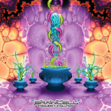 Braincell - Frequency Evolution '2008