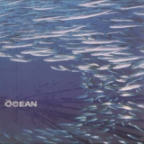 The Ocean - Fluxion '2004