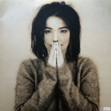 Bjork - Debut '1993