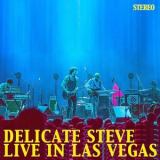 Delicate Steve - Delicate Steve Live In Las Vegas '2015
