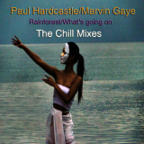 Paul Hardcastle - Rainforest_what's Going On (The Chill Mixes) '2011