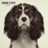 Radar State - Strays '2019