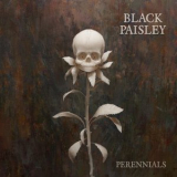Black Paisley - Perennials '2018