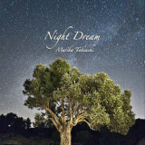 Marika Takeuchi - Night Dream '2011