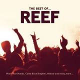 Reef - The Best Of '2008