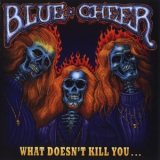 Blue Cheer - What Doesn't Kill You... '2007