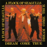 A Flock Of Seagulls - Dream Come True '1986