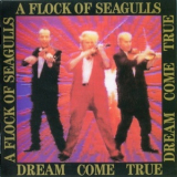 A Flock Of Seagulls - Dream Come True '1986
