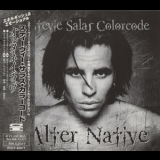 Stevie Salas Colorcode - Alter Native '1996