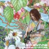 Ed Wynne - Shimmer Into Nature '2019