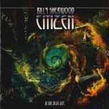 Billy Sherwood - Citizen - In The Next Life '2019
