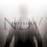 Nick D'virgilio - Invisible '2020
