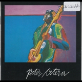 Peter Cetera - Peter Cetera '1981