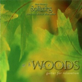 Dan Gibson's Solitudes - Whispering Woods (guitar For Relaxation) '1997
